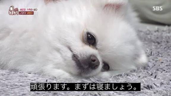 寒くなってきたしみんな風邪引かないために10キロ太ろ🧚‍♀️