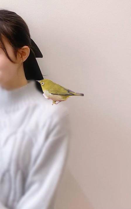 肩に鳥さん