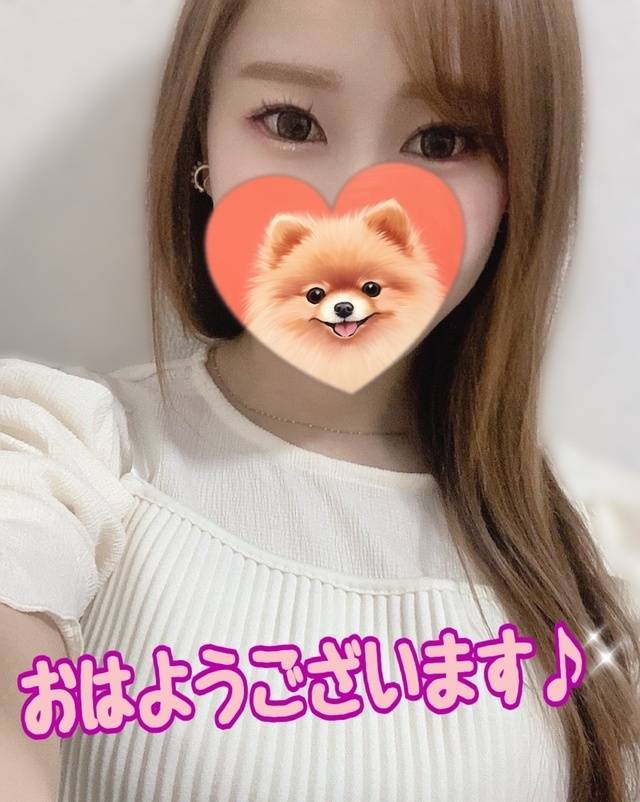 おはよう水曜日