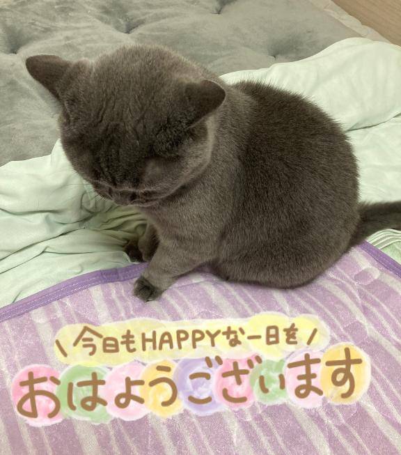 次は金曜日です
