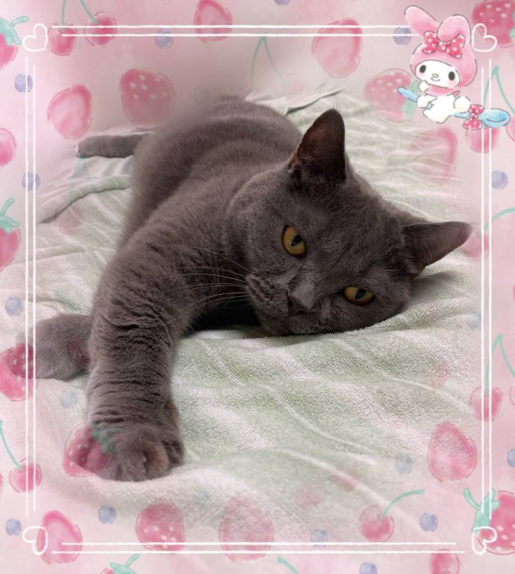 昨日・今日ありがとう❤️