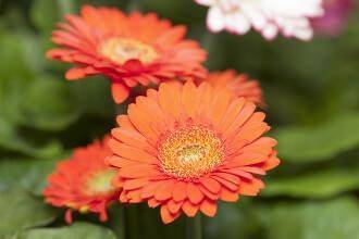 明日、19㈰12:30〜出勤します