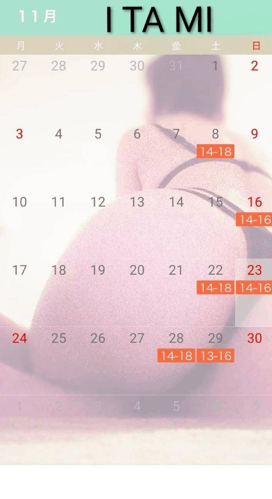 １１月の予定です