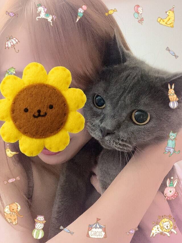 マロちゃむでも載せて浄化🏞️