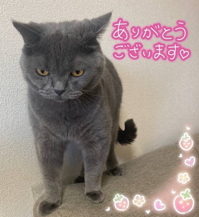 今日もありがとう