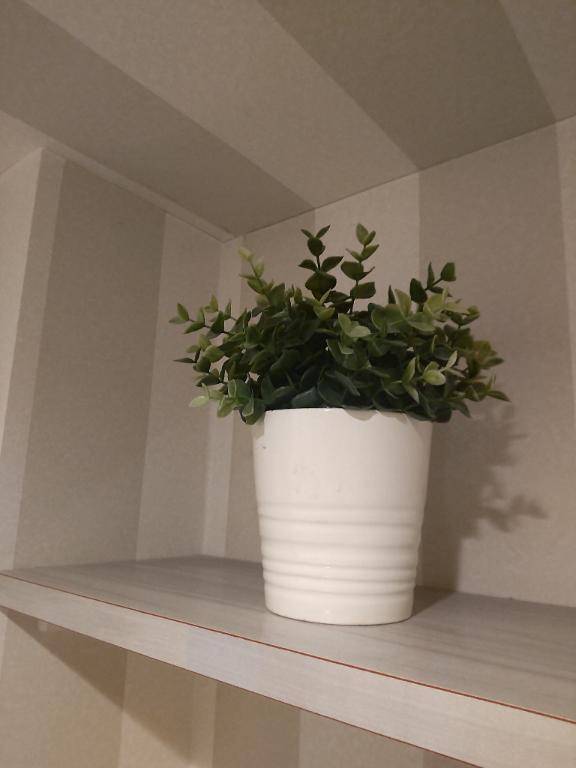 明日11/11㈫、14:30〜出勤します〜緑を〜