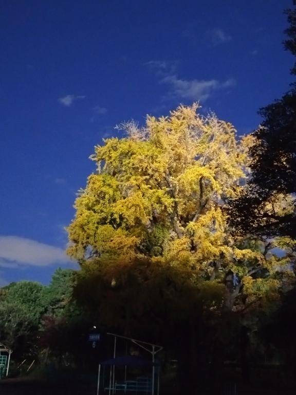 アストンマーチンがいた