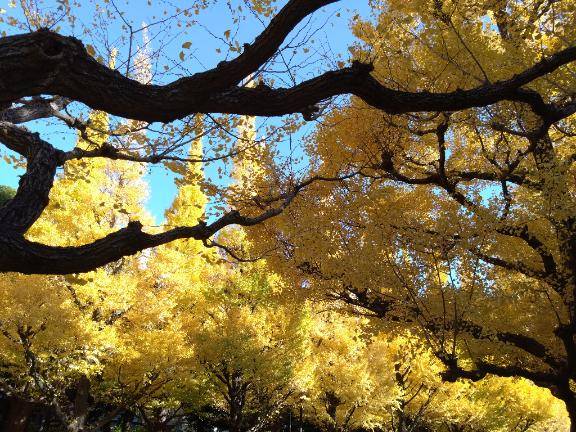 勤労をたっとんでみる