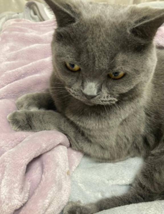 ごめんなさい本日お休み