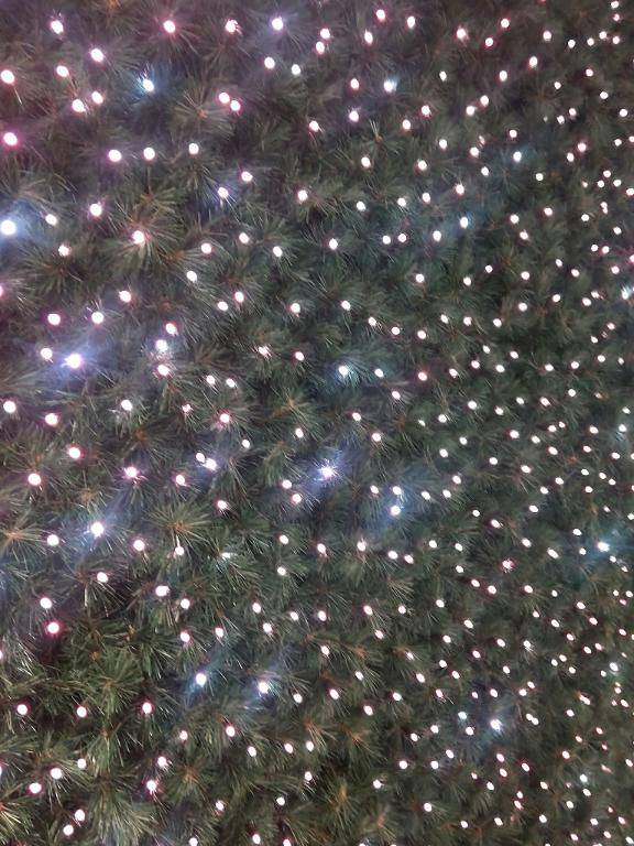 次回は12/7㈰、14:30〜出勤します〜もうイルミネーション〜