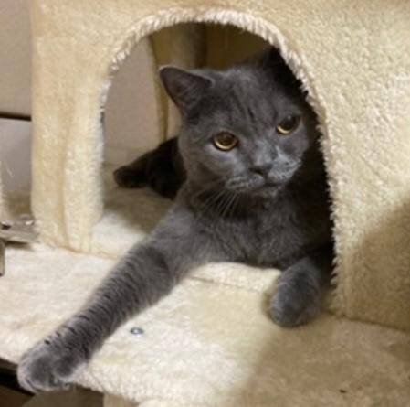 12月末から1月の予定