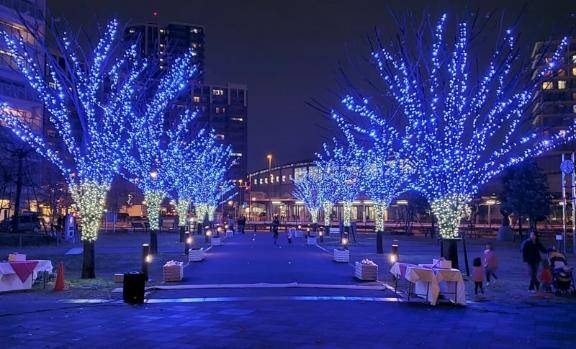 次回、12/25㈭出勤します