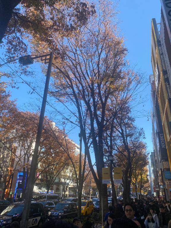 おはようございます