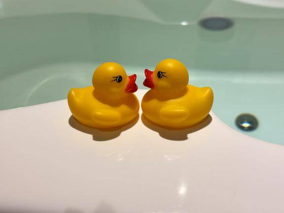 残りわずか。。