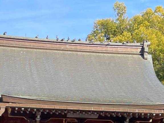 遅くなりましたが