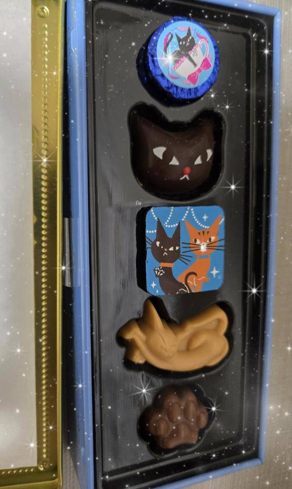 雪溶けましたね