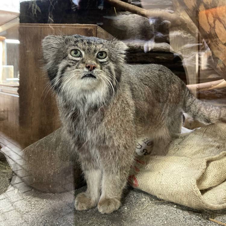 いつもやっちゃう🥹💦