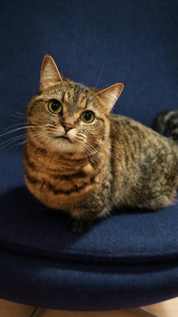 体調良くなりました