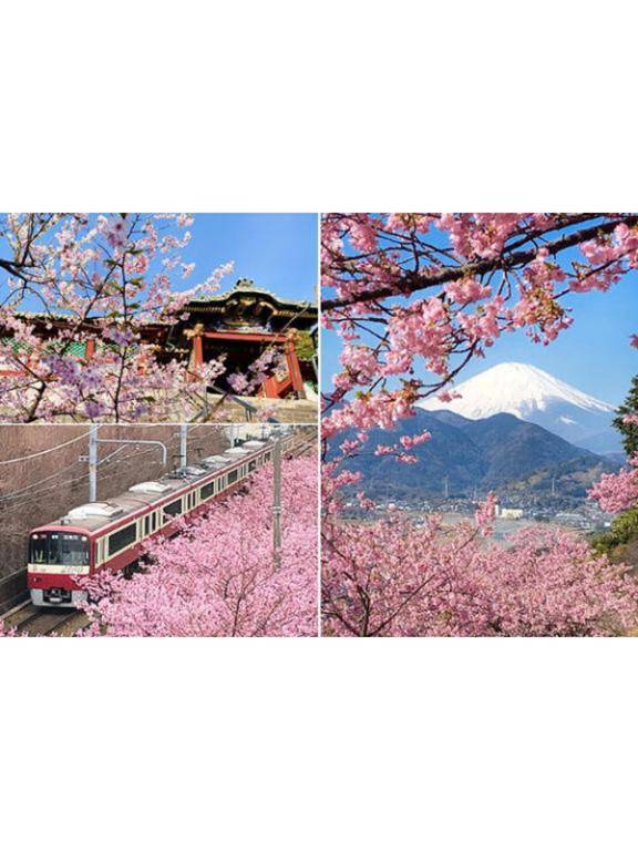 黒崎（華恋人～カレント～）