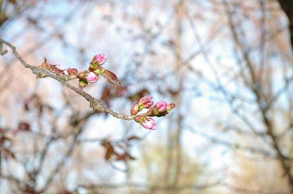 本日も、ありがとうございました〜急遽〜