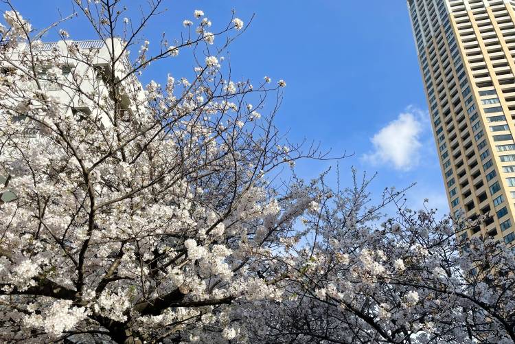 申し訳ございません(；д；)