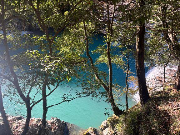 明日急遽予定変更です