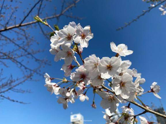 昨日もありがとうございました〜感謝〜