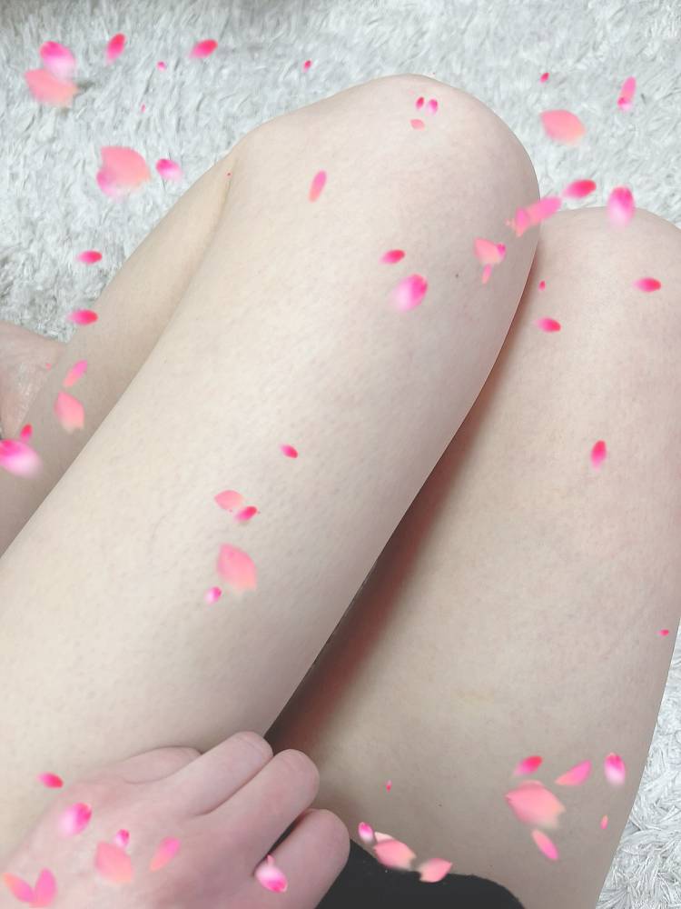 おはよう