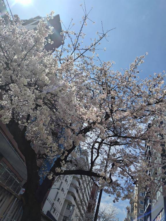 水谷（華恋人～カレント～）