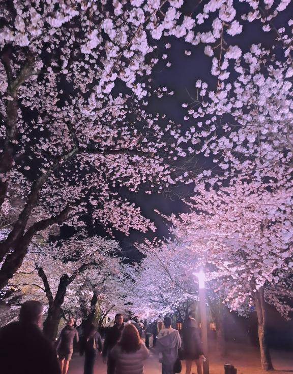 鶴見（華恋人～カレント～）