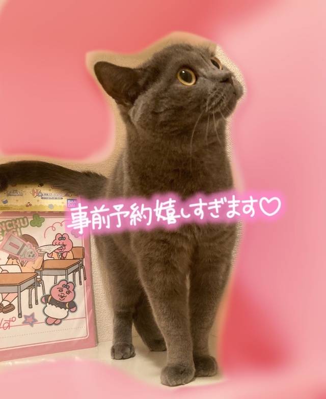 お礼🩷ｱﾘｶﾞﾄｳ₍ᐡˊo̴̶̷̤  ̫ o̴̶̷̤ˋᐡ₎❣️