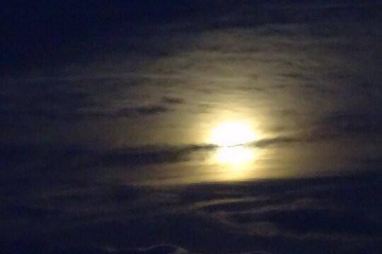 明日、12㈰出勤します〜朧月夜〜