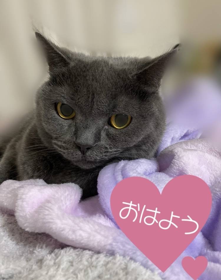 雨だね☔️金曜日頑張ろう☺️💪🏻