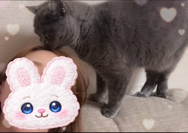 13時、15時空いてます😻