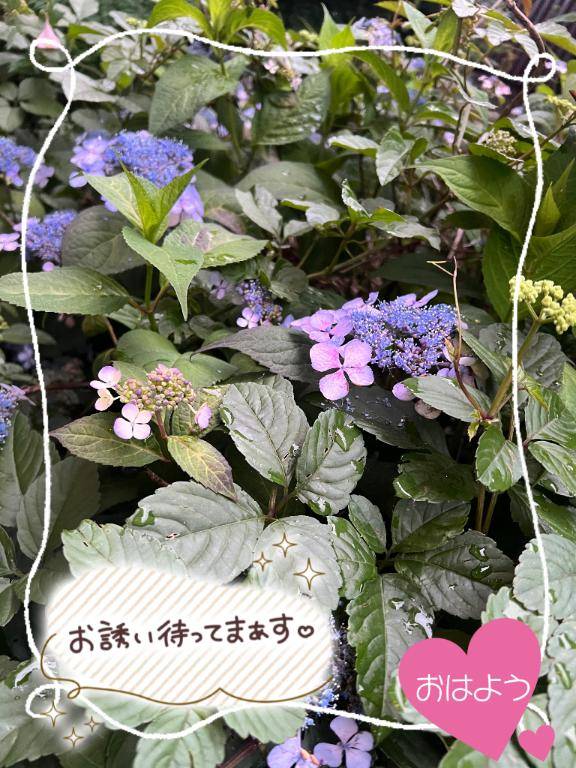 これから