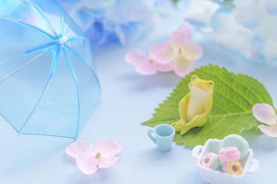 次回、6/14㈰、11:00〜出勤します