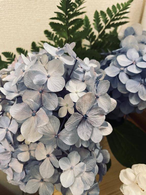 部屋に紫陽花などを