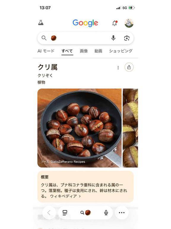 霧島(華恋人~カレント~)