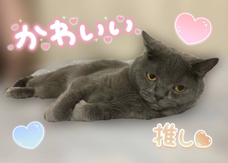 宮本（華恋人～カレント～）
