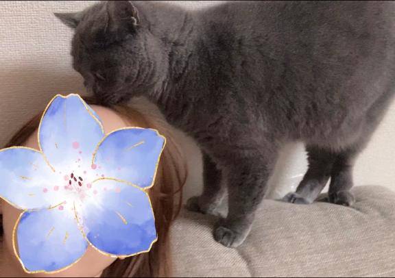 おはよう