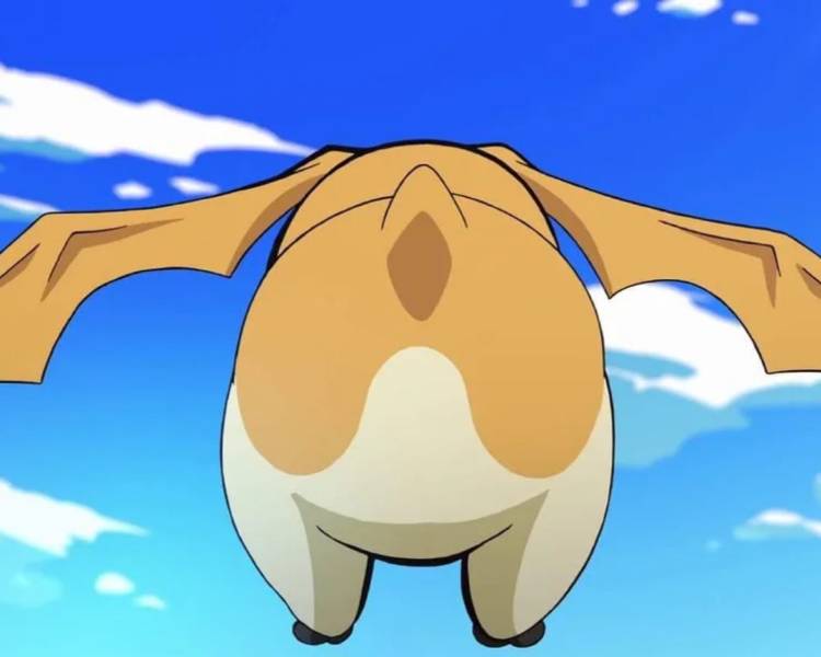 ごめんなさい😢