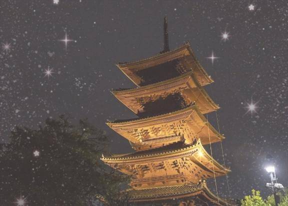 秋のフェス