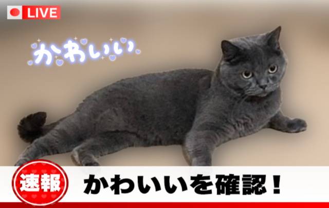 そういえば新しい所がね🏩