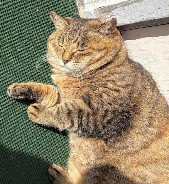 連休最終日