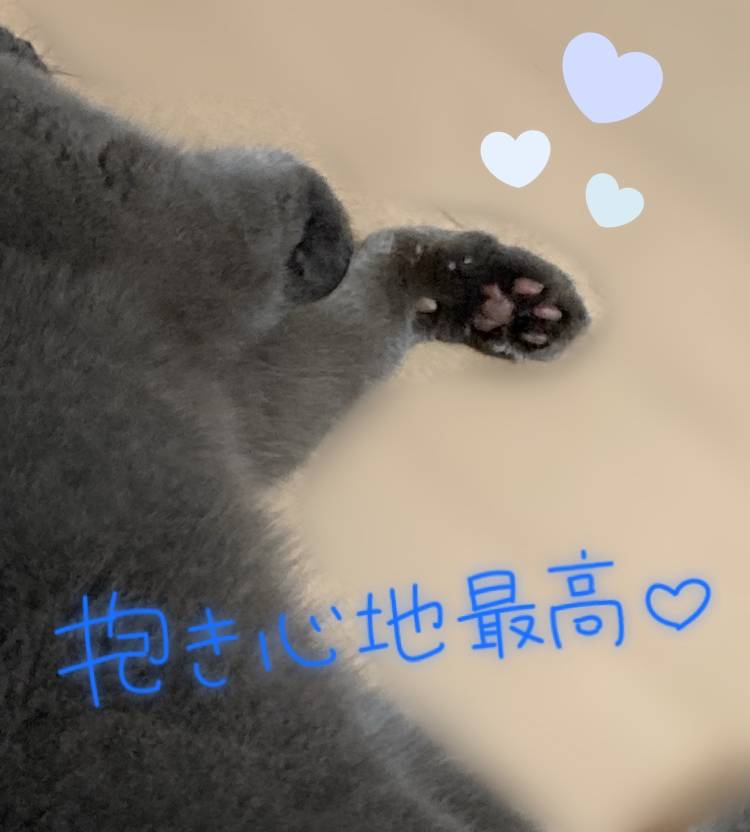 おはよう(´･ε･｀)⭐️