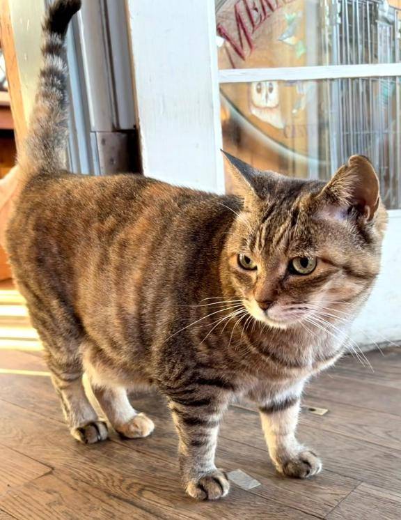 おはようございます
