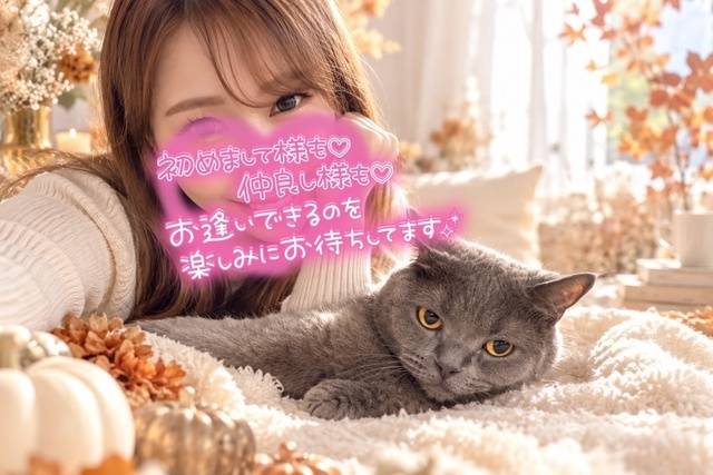 🩷お知らせ🐈‍⬛🩷