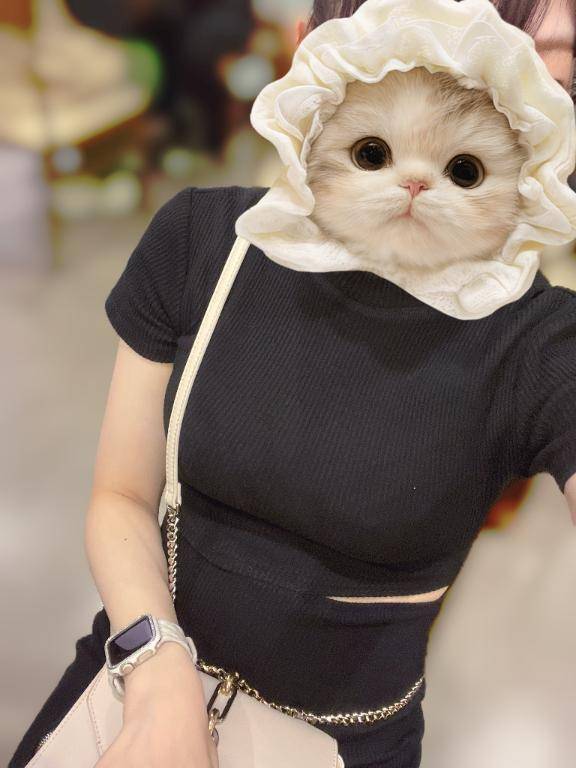 出勤してます(*^^*)