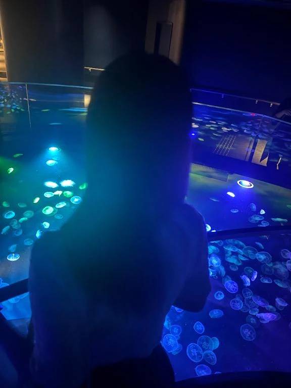 明日が私を待ってる🩵