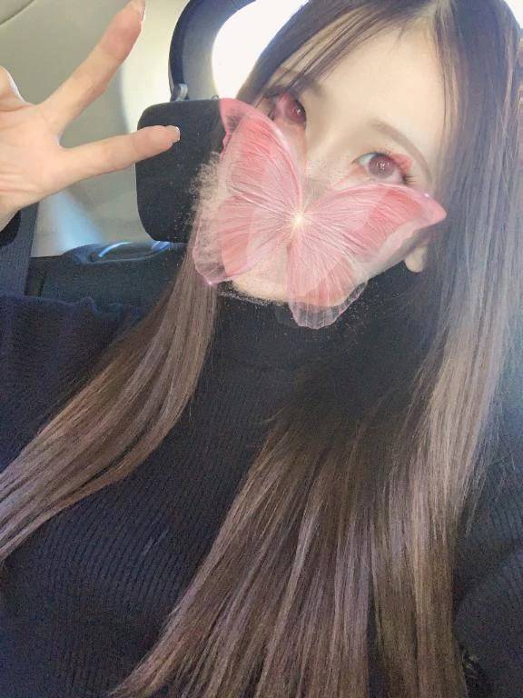 今日はなにする？🐶